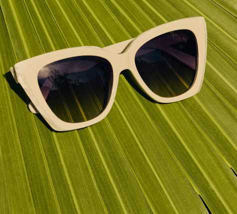 Kendra Scott Sunglasses